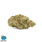 Bruce Banner cannabis strain bud, featuring dense green and orange hues, associated with Puff Wow's product offerings.