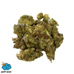 grease monkey 7g copy