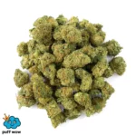 Premium AAA Grade Cinderella 99 cannabis buds, showcasing vibrant green color and dense texture, representing the Sativa strain with 22% THC, from Puff Wow.