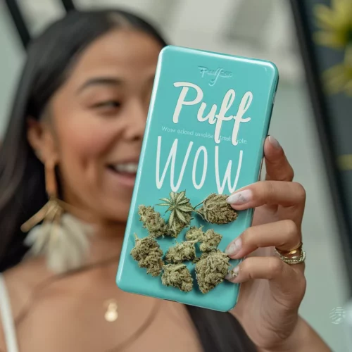 Winnipeg Weed Delivery 163 Person holding a light blue Puff Wow container with cannabis buds, showcasing the brand's cannabis delivery service and product offerings.